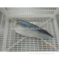 Chinese Export Frozen Fish Mackerel Fillets